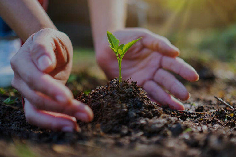 Certificación ISO 14001